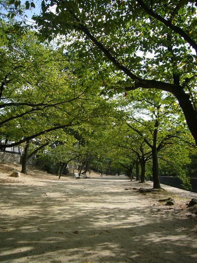 P1080365