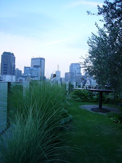 s-P1100465