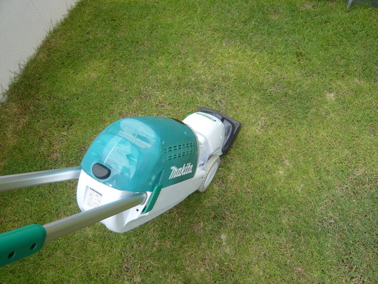 ���� 010