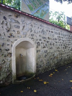 P1040981