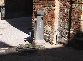 IMGA0358