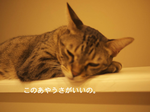 BlogPaint