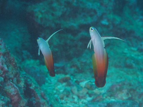 20170702_170703_0011