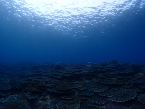 P7010853