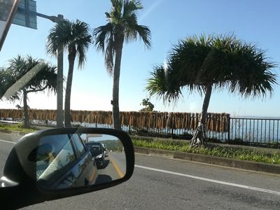 IMG_20171108_081710