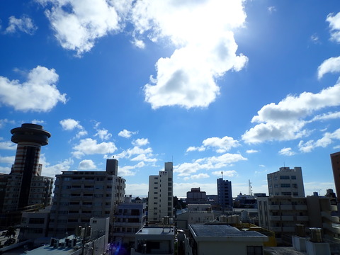 P7150583