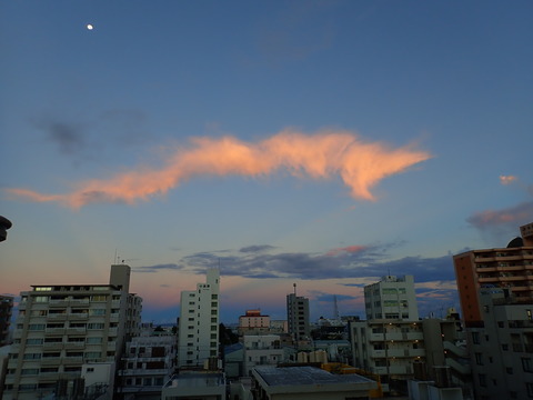 P8300932