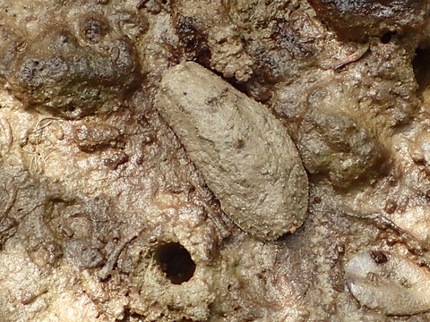 P5110624