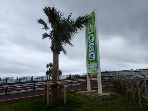 P2070828