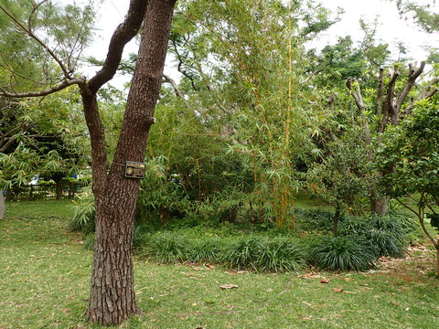 P3241429