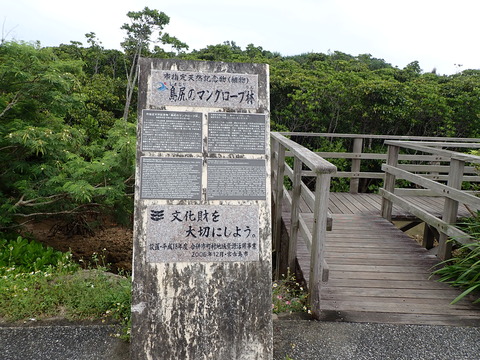 P4280031