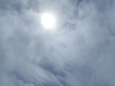 P9290144