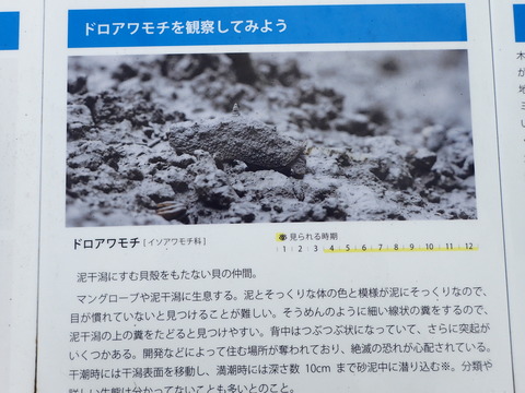P5110641