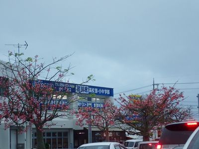 PC020530