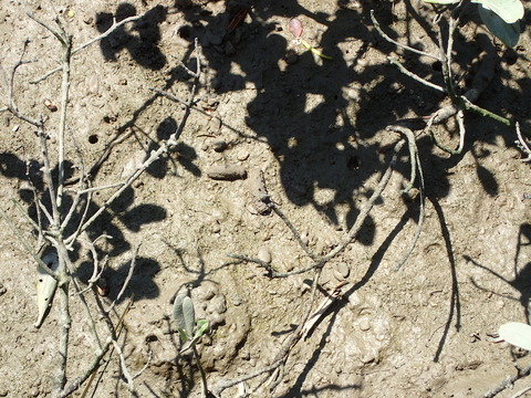 P5040536
