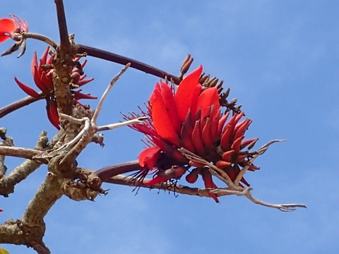 0317ﾃﾞｲｺﾞ2