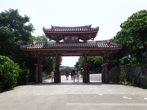 P4280392