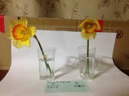 images (9)