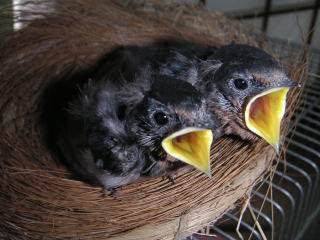 Pict00491