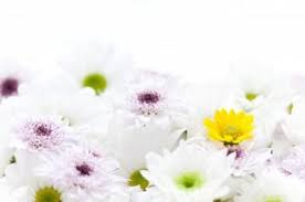 images (3)