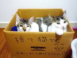 images (1)