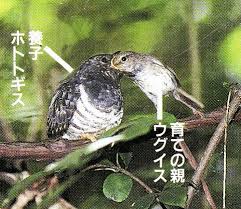 ダウンロード (28)