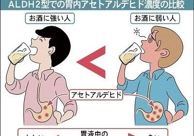 japaneseclass.jp-f87c3