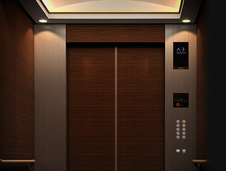 thumb_elevator