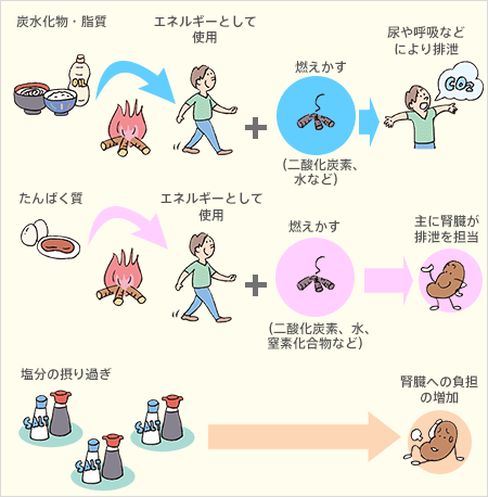 img_illust-04