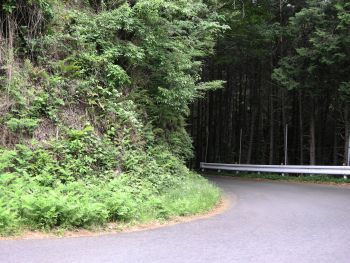 20110510山道1