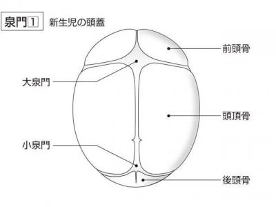 f0204584_2120411