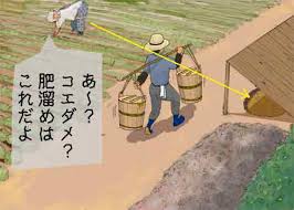 images (11)