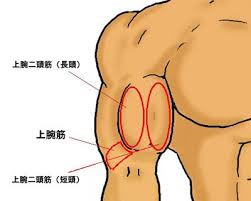 images (1)
