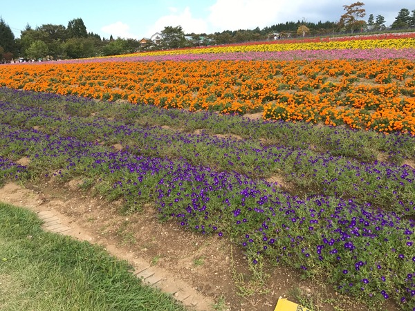 image06