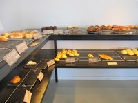 IMG_4077-s