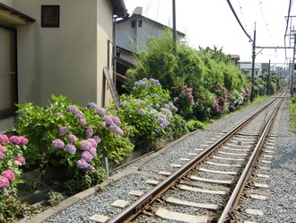 CIMG9929