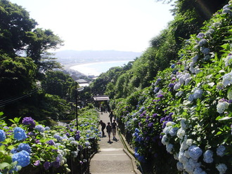 成就院