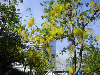 P3240046
