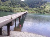 沈下橋泳ぐ