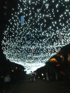 写真 (5)