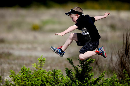 hurdle