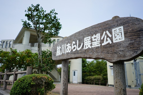 DSC00111