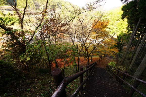 DSC03803 (2)