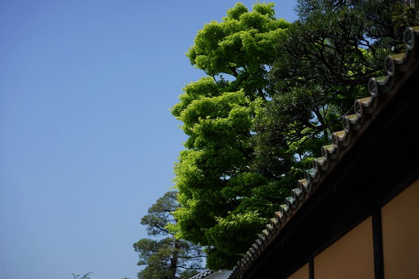 DSC01856