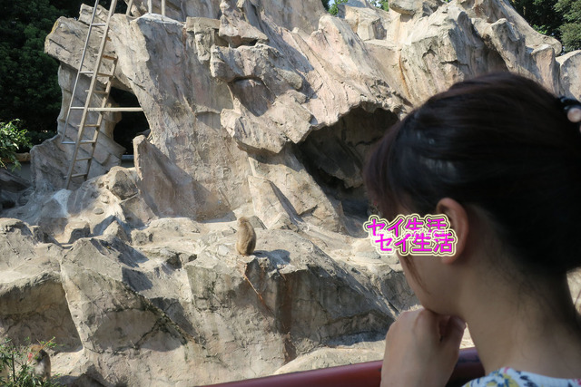 上野動物園 (6)