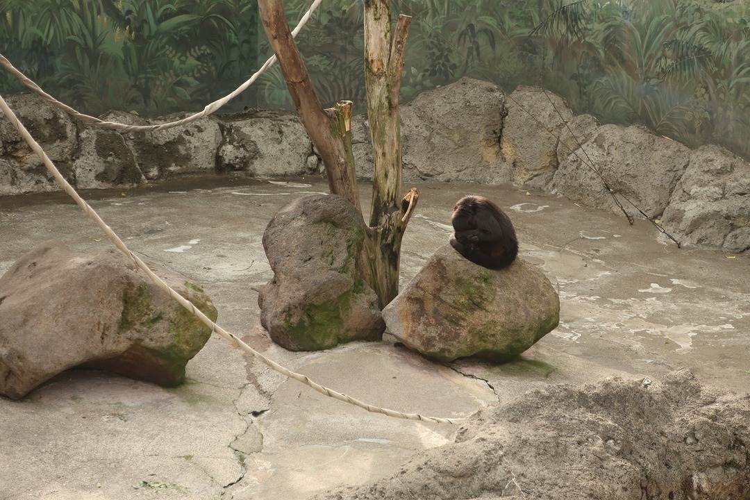 江戸川自然動物園 (8)