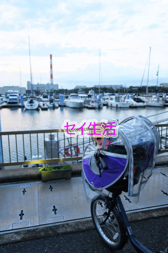夢の島マリーナ (2)