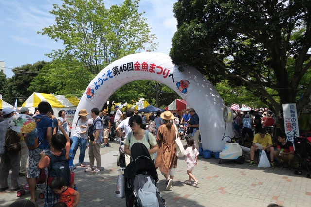 江戸川金魚まつり (10)