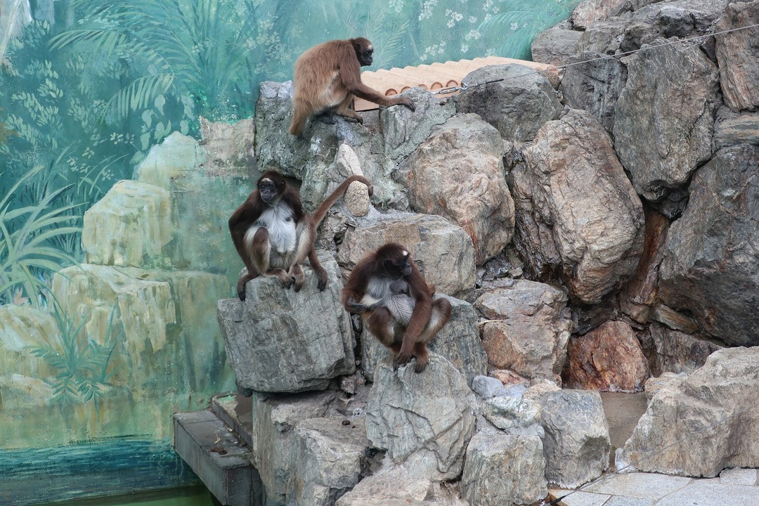 江戸川自然動物園 (12)