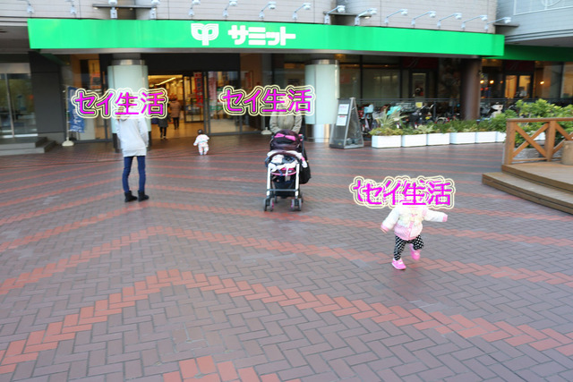 散歩 (22)